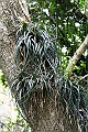 Resize of _MG_1034